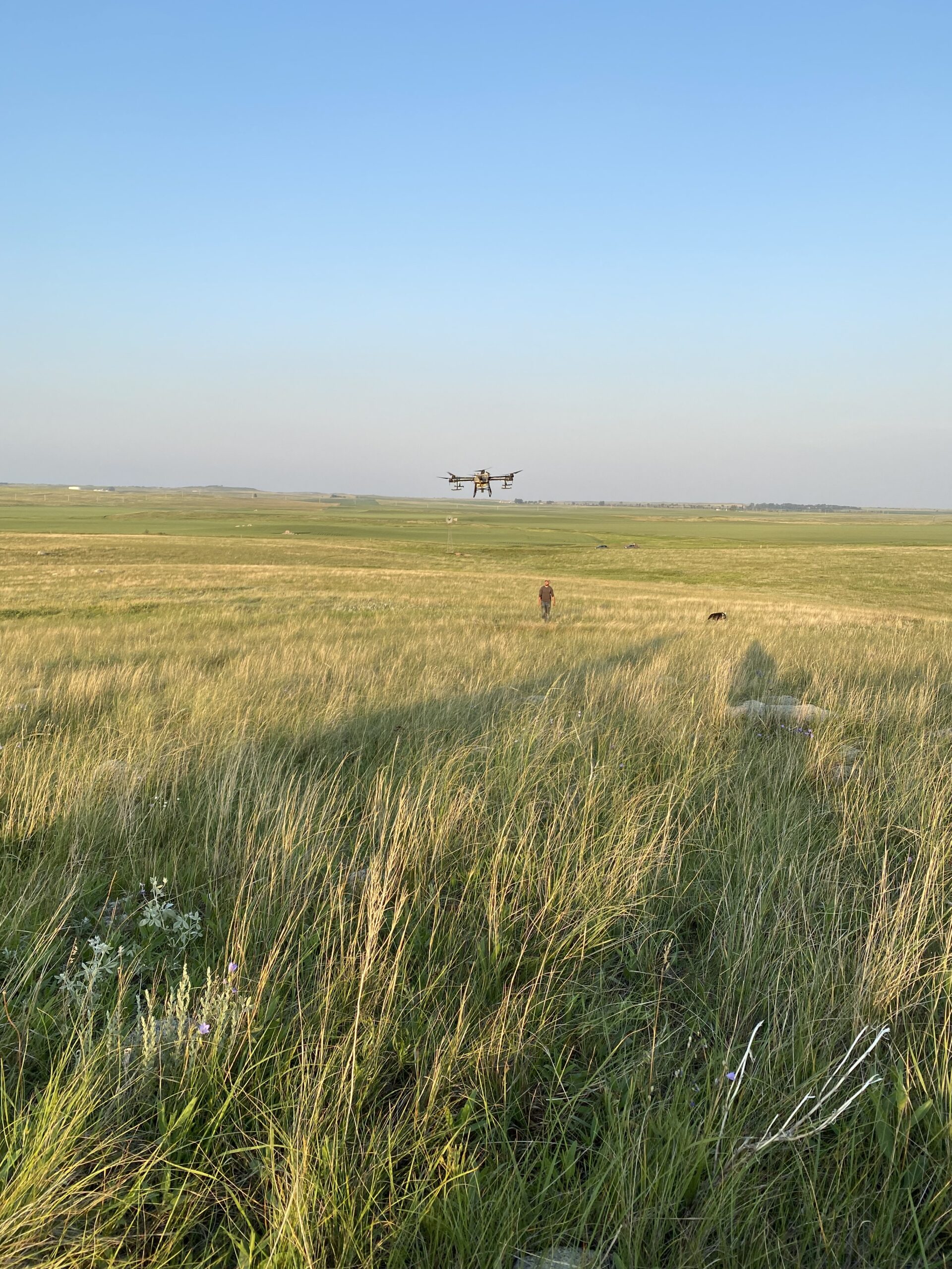 Spotters Aerial Ag, Pasture Spraying